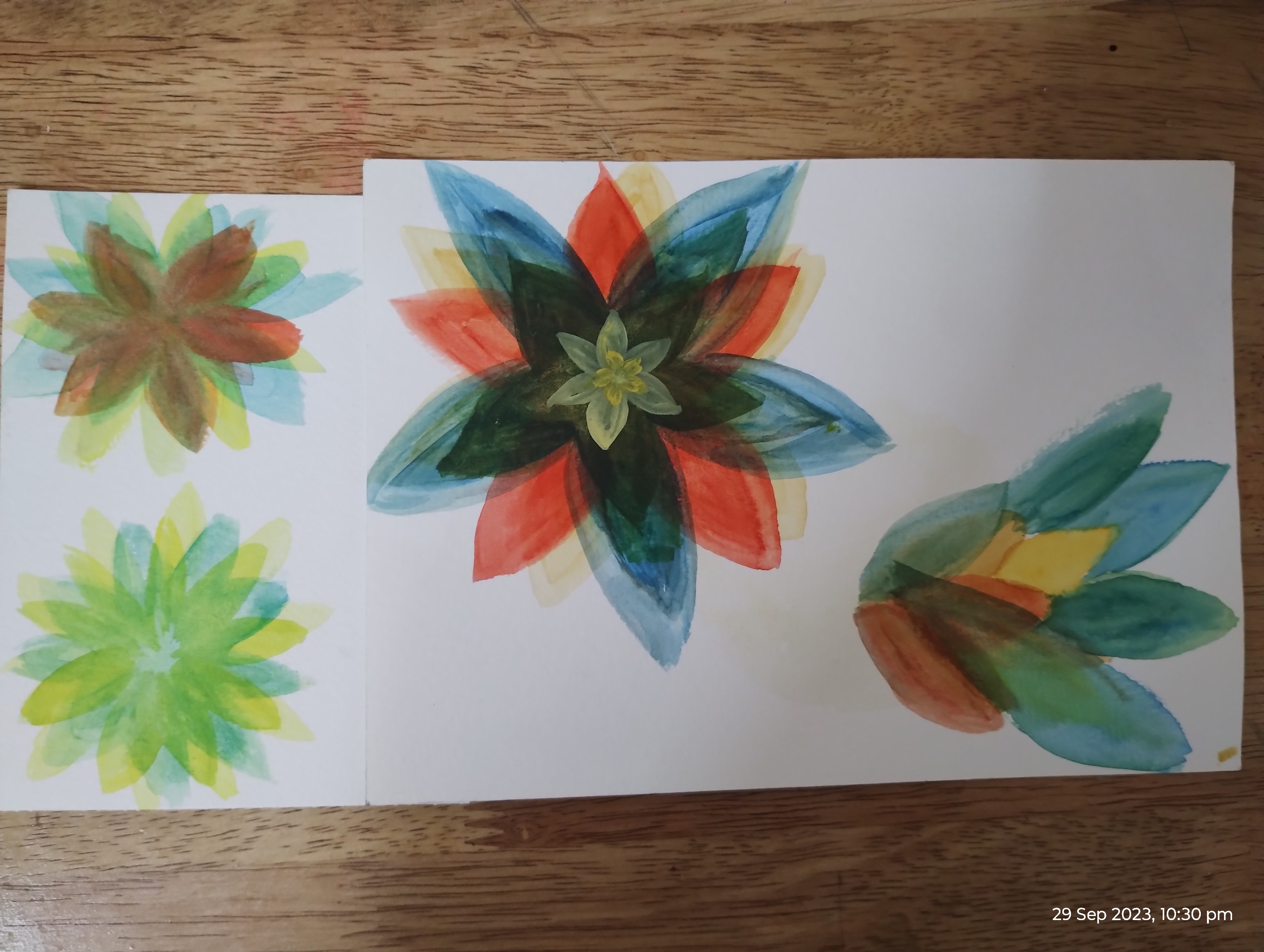 Flower-1